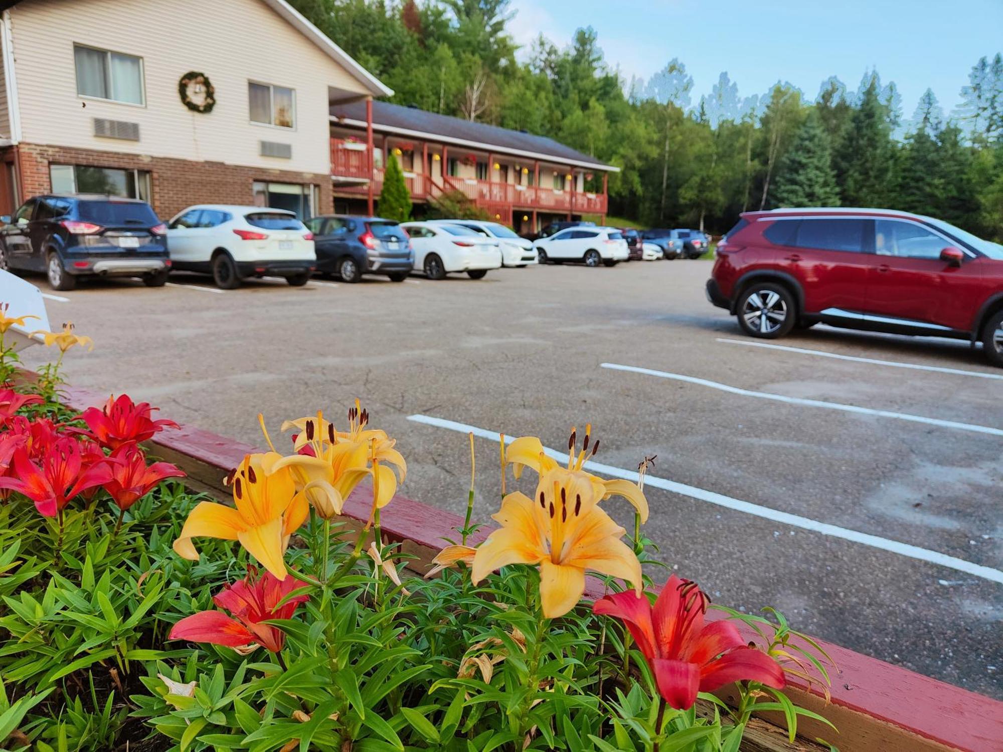 Motel Le Radisson De 발다비드 외부 사진